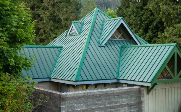 Best Skylight Installation and Repair  in The Village Of Indian Hill, OH